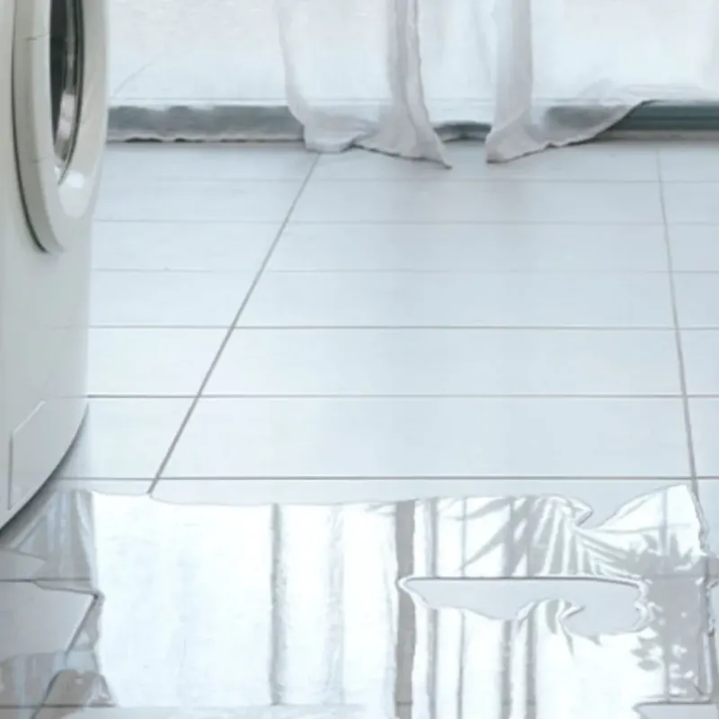 Appliance Leak Cleanup in Filer, ID